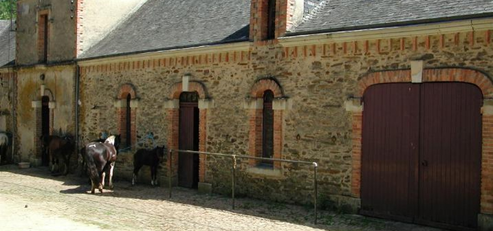 Angers,Maine et Loire,France,Château,1010
