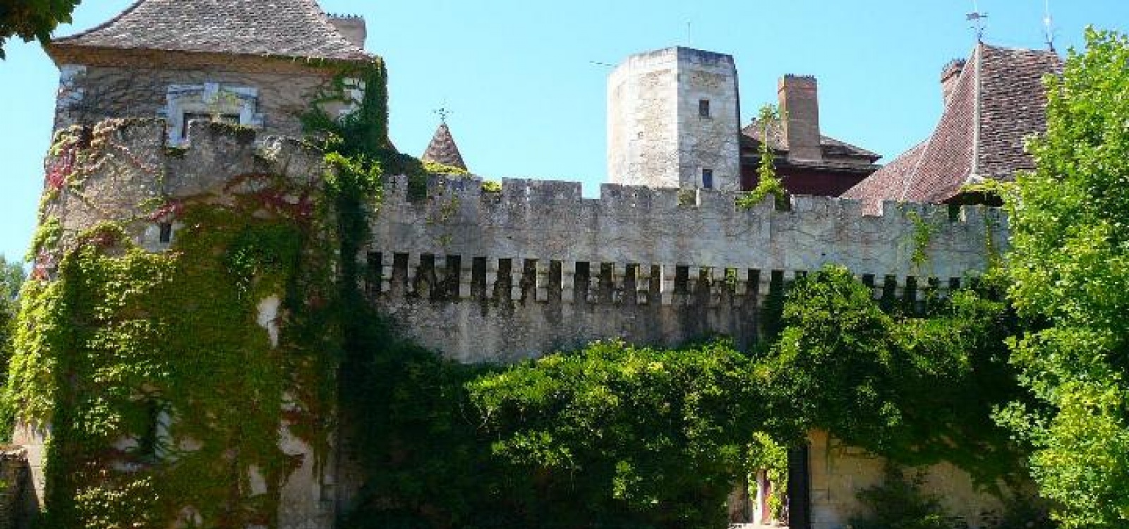Périgueux, Dordogne, France, ,Chateau,A vendre,1016