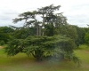 Angers, Maine et Loire, France, ,Chateau,A vendre,1031